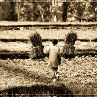 official-thread-fotografi-garut-foga