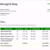 pengalaman-beli-online-ke-quotberry-girl-shopquot