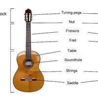 cara-memilih-gitar-untuk-pemula