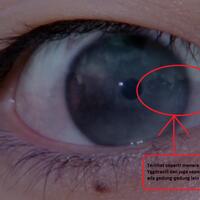 post-image