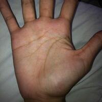 share-tentang-pengetahuan-keilmuan-garis-tangan---palmistry