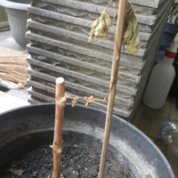 kampung-anggur----part-1