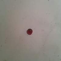 93787769378776937-all-about-tortoise-93787769378776937---part-3