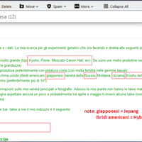 kampung-anggur----part-1