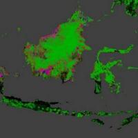 indonesia-punya-kenaikan-laju-deforestasi-terbesar-di-dunia