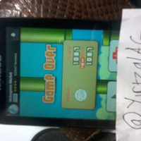 yuk-share-score-tertinggi-flappy-bird