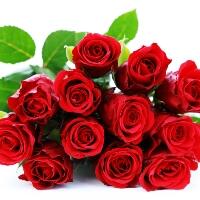 makna-jumlah-bunga-mawar-di-hari-valentine