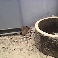 post-image