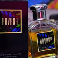 83628362836297339733the-perfume-community97339733836283628362-----part-3