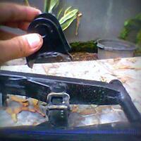 hosticus-honda-cb150r-streetfire-club-on-kaskus---part-1