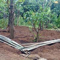 kampung-anggur----part-1