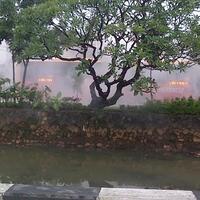 bus-transj-gandeng-yang-meledak-dan-terbakar-di-jl-gajah-mada