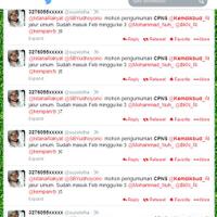 all-about-rekrutmen-cpns-kemdikbud-2013