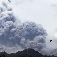 kelakuan-pemimpin-kita-nih-gan