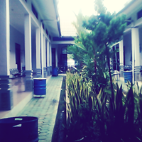 official-lounge-nokia-lumia-520