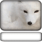 kamar-belajar---part-6