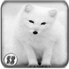 kamar-belajar---part-6