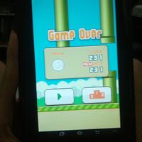 woy-yang-ngerasa-jago-main-flappy-bird-baca-nih-tingkatan-level-pemain-flappy-bird
