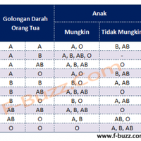 kenapa-anak-saya-beda-golongan-darah-dengan-orang-tuanya