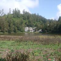 perbedaan-semeru-dulu-dan-kini-dari-quotpendakianquot-menjadi-quotwisataquot