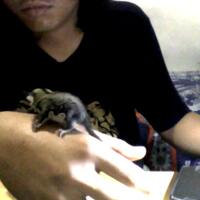 sugar-gliderlanjut---part-3