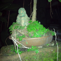 post-image