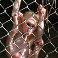 lama-lama-gw-jadi-maho-dah-kalo-kayak-gini-terus