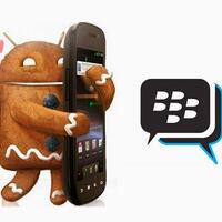 setelah-update-bbm-versi-baru-di-android-malah-tambah-lemot-masuk-gan