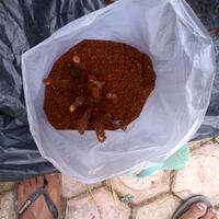 kampung-anggur----part-1