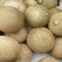 buah-apa-yang-agan-pilih-kalo-makan-rujak