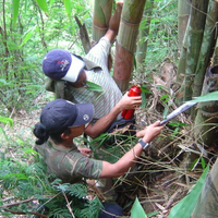 makanan-dan-minuman-ketika-tersesat-di-gunung