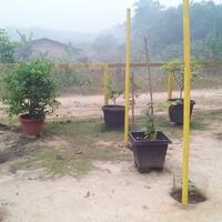 kampung-anggur----part-1