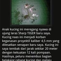 wtf--orang-bunuh-anjing-trus-pamer-di-sosmed