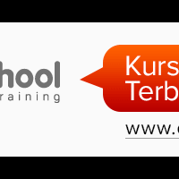 mau-kursus-website--web-design--ke-dumet-school-saja