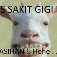 ketika-gigi-berbicara-yang-sakit-gigi-masuk