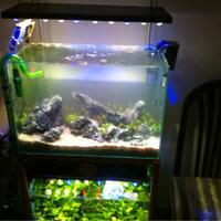 aquascape-for-everyone-learning-and-sharing---part-1