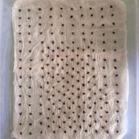 kampung-anggur----part-1