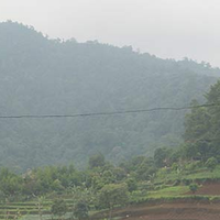 situs-gunung-kasur-cianjur-rusak