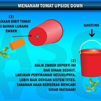 sky-planter-terobosan-baru-dalam-menanam-tanaman-keren-gan-d