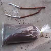 kampung-anggur----part-1