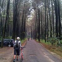 jalur-parigi-baru-serpong-tangerang-selatan-light-xc-mtb-park