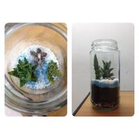 share-terrarium