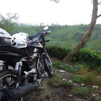 share-serba-serbi-bajaj-pulsar-all-variants---part-5