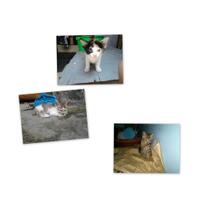 post-image