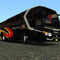 photograph-bus-mania-indonesia-poharyanto