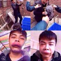 jangan-pernah-cium-kura-kura