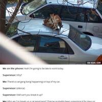 kelakuan-tak-pantas-di-tiru-di-atas-mobil