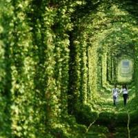 5-tempat-wisata-ajaib-di-dunia