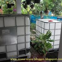 pecinta-ikan-komet-masuk-sini