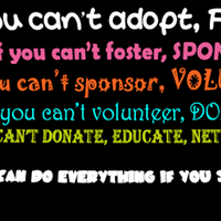 surabaya-animal-care-center-sacc